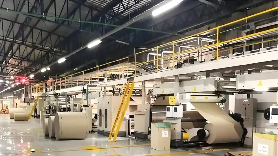 Corrugated Cardboard Production Line