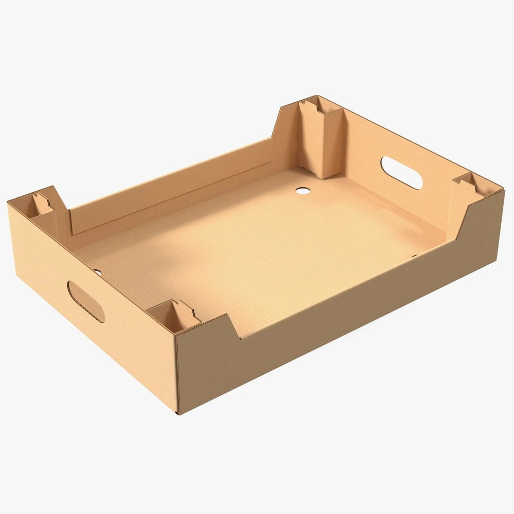 Tray Carton Tray Carton
