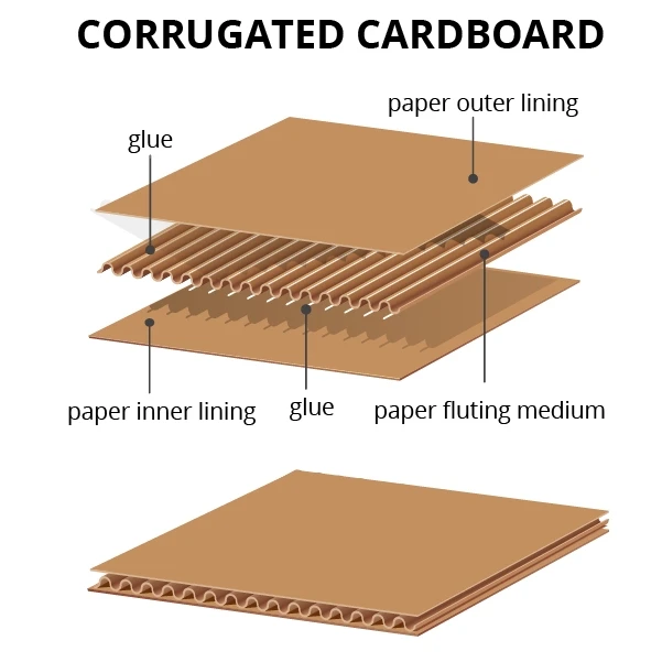 exploded-view-corrugated-board-structure-showing-liner-fluting-and-glue-bond