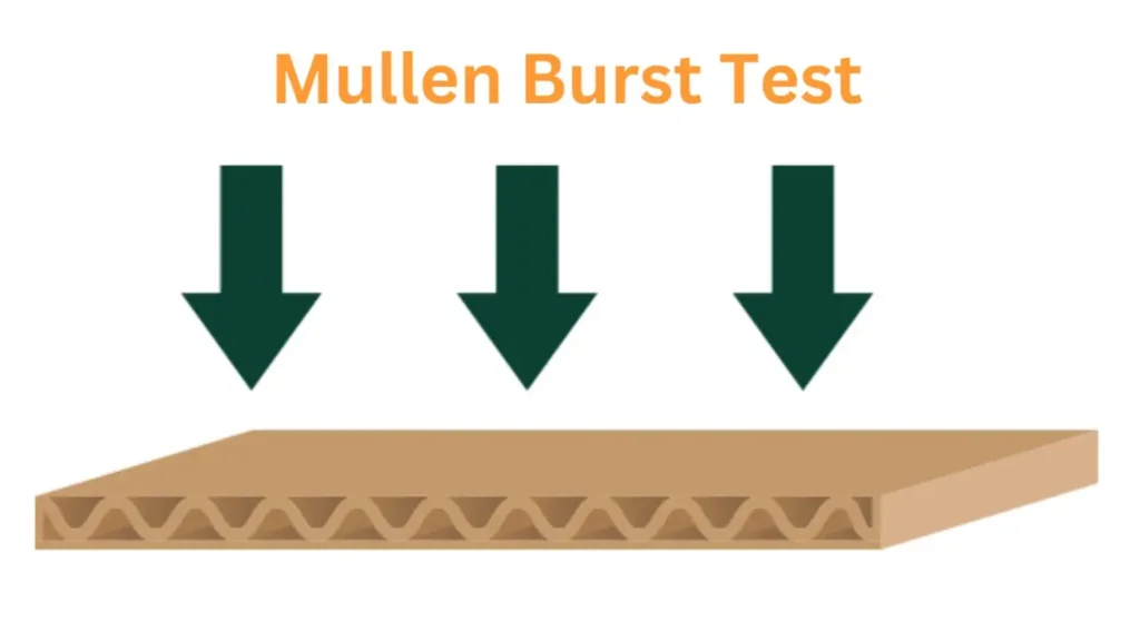 Mullen Test Mullen Test