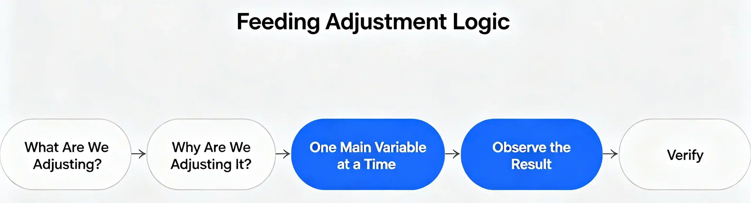Feeding adjustment flow showing one variable at a time, followed by observation and verification.